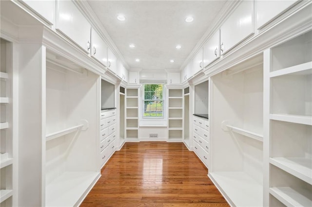 walk in closet featuring wood-type flooring