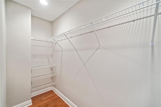 spacious closet featuring hardwood / wood-style floors