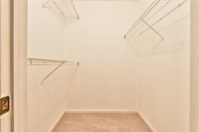 spacious closet with light carpet