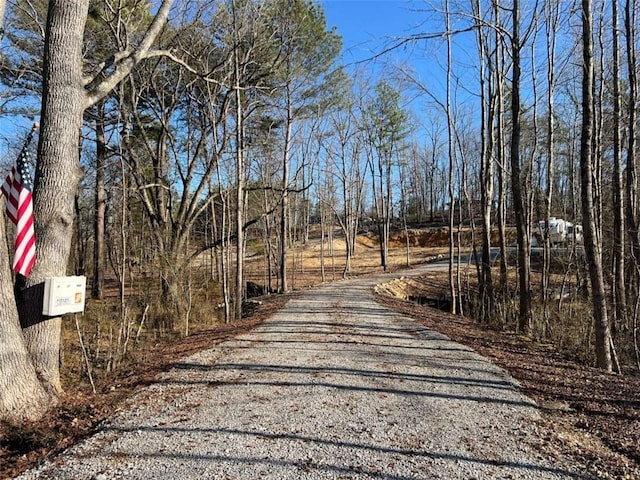 249 Ellis Rd, Rome GA, 30161 land for sale