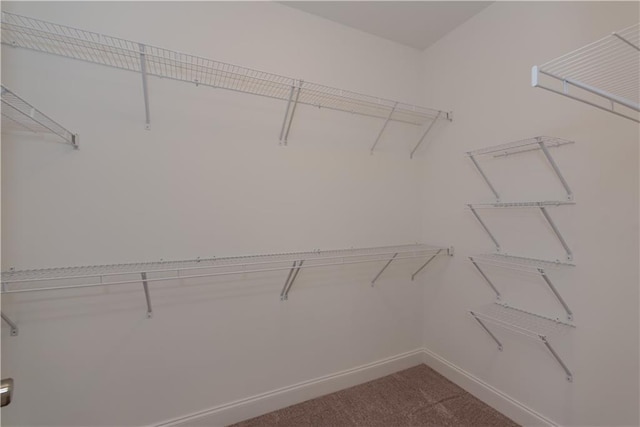 3195 Bartee Walk, Suwanee, GA 30024 - spacious closet featuring carpet floors