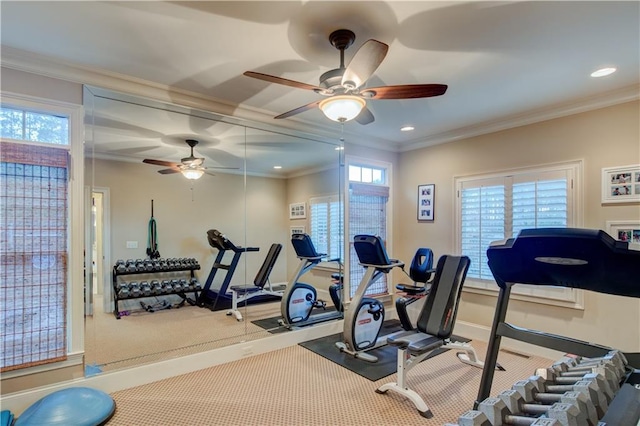 workout area with crown molding and ceiling fan