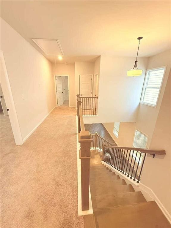 1923 Westfall Lndg, Auburn, GA 30011 - stairs with attic access and carpet