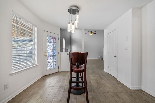 dining space with ceiling fan and dark hardwood / wood-style flooring