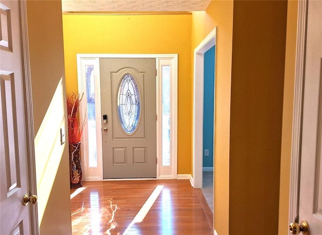 entrance foyer with hardwood / wood-style flooring and a wealth of natural light