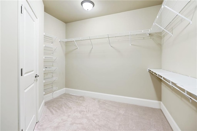 spacious closet with light carpet