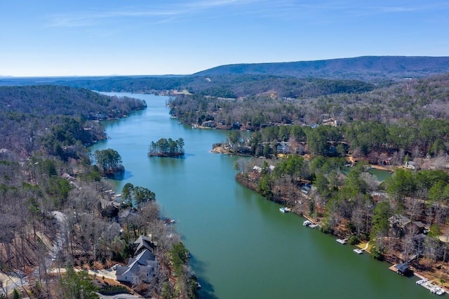 birds eye view of property with a water view and a wooded view