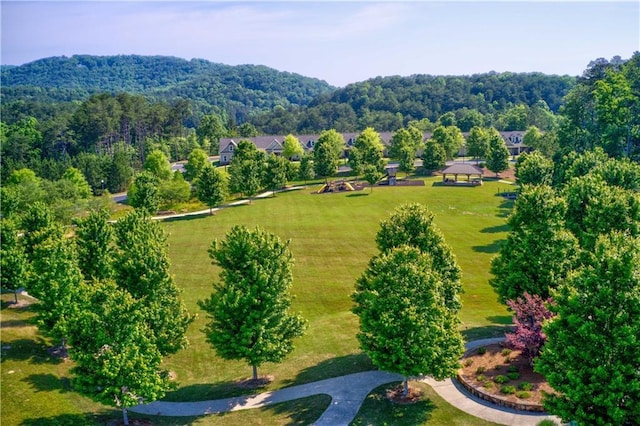 bird's eye view with a view of trees