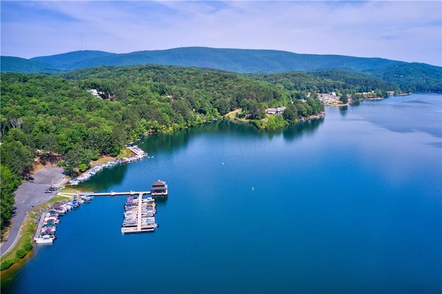 aerial view with a water and mountain view and a view of trees