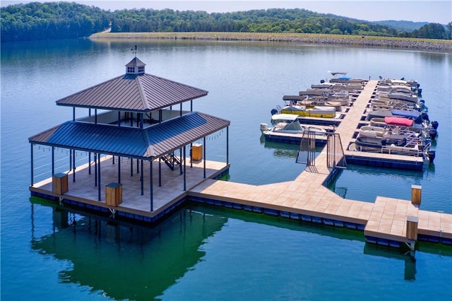 dock area featuring a water view and a forest view