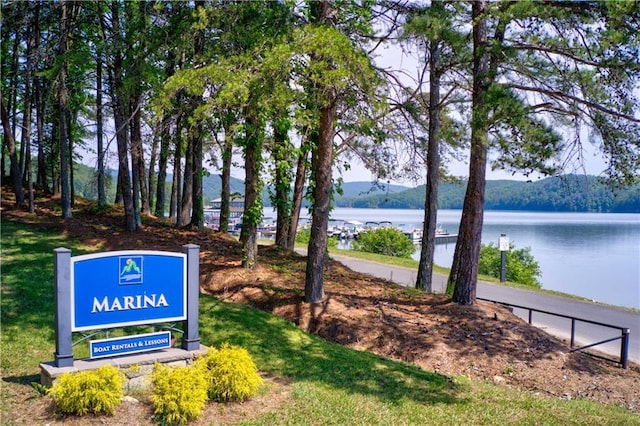 view of home's community featuring a water and mountain view