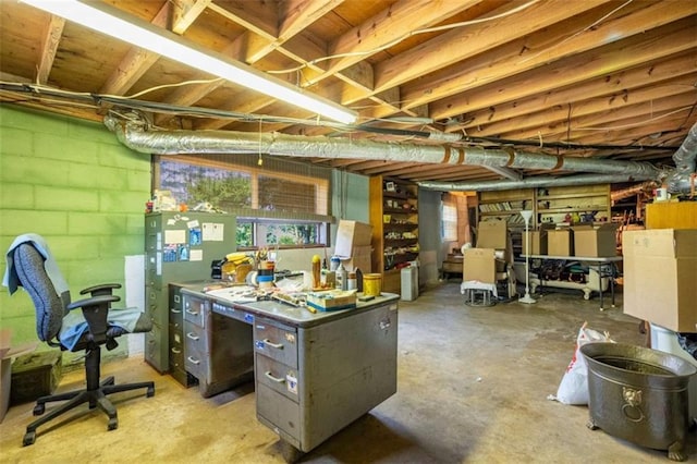 268 Tuck St, Cedartown, GA 30125 - basement featuring a workshop area
