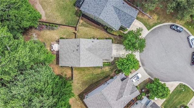bird's eye view