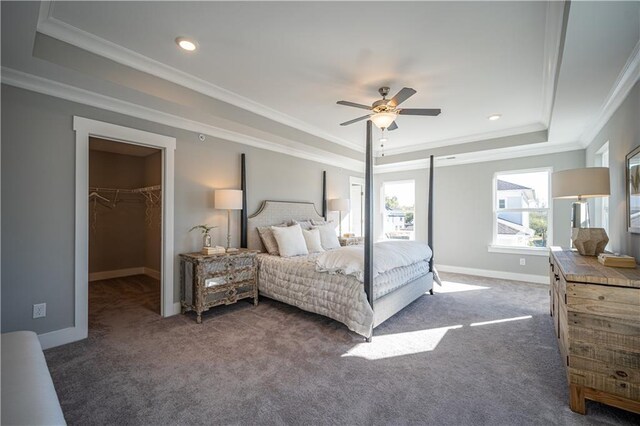 bedroom with ceiling fan, a closet, a tray ceiling, ornamental molding, and a walk in closet