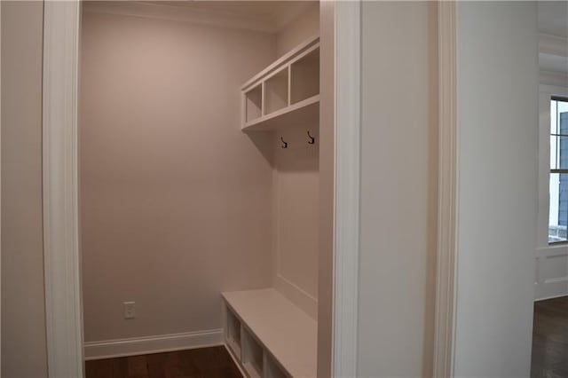 mudroom with dark hardwood / wood-style floors