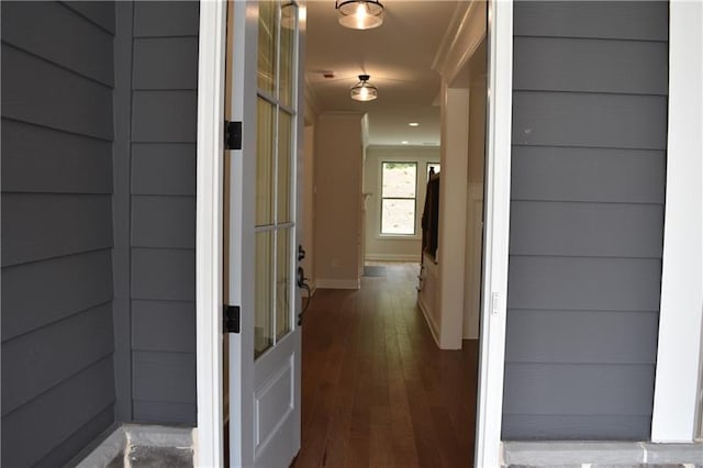 hall featuring hardwood / wood-style flooring and ornamental molding