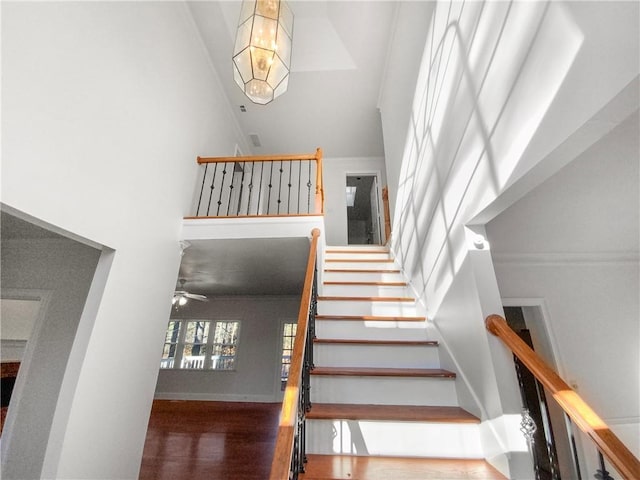 stairs featuring a high ceiling, ceiling fan with notable chandelier, and wood-type flooring