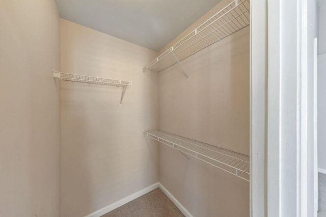 spacious closet with carpet floors