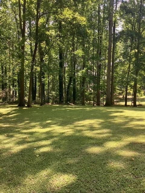 9278 Seminole Rd, Jonesboro, GA 30236 - view of green lawn
