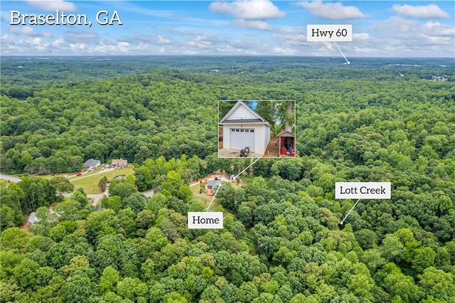387 Lauren Marie Dr, Braselton, GA 30517 - bird's eye view of a forest