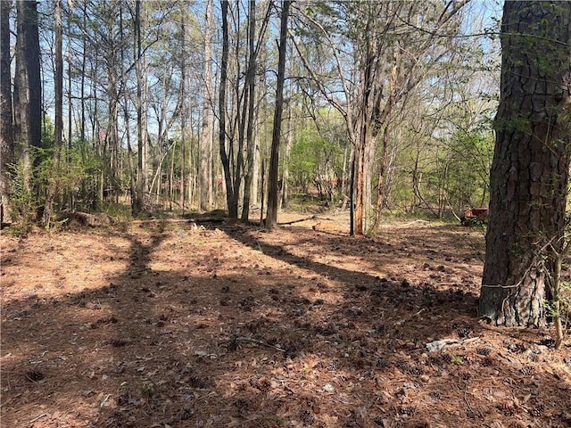 5834 Heardsville Rd, Cumming, GA 30028 - view of landscape featuring a wooded view