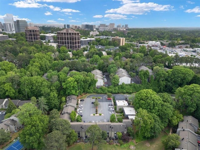 95 Ivy Trl NE, Atlanta, GA 30342 - aerial view of residential area with a forest