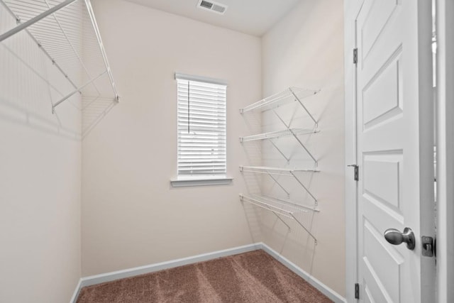 spacious closet with carpet flooring and visible vents