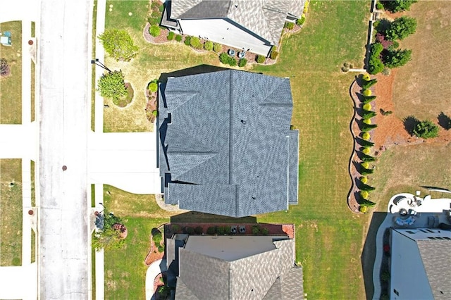 bird's eye view