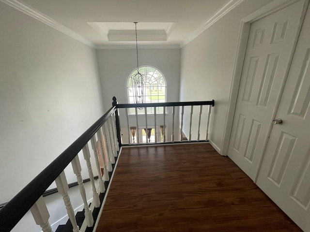 hallway with crown molding, dark hardwood / wood-style floors, and a raised ceiling