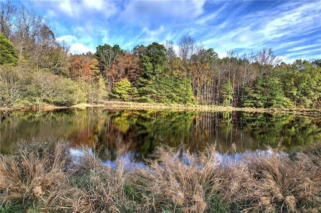 1195 Grady Rd, Rockmart, GA 30153 - water view featuring a forest