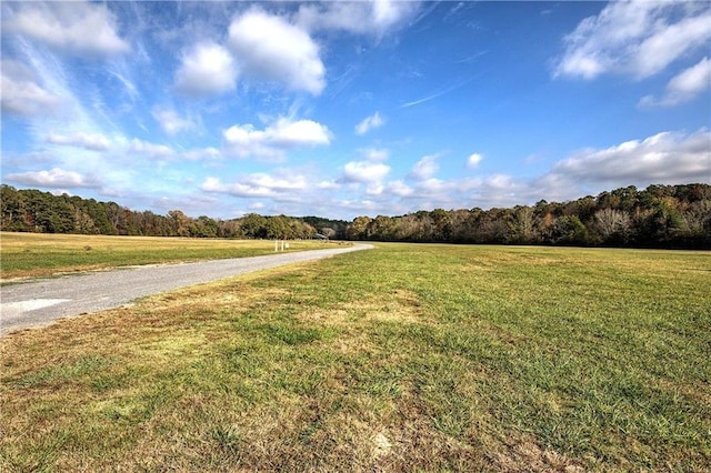 1195 Grady Rd, Rockmart, GA 30153 - view of road with a view of trees and a view of countryside
