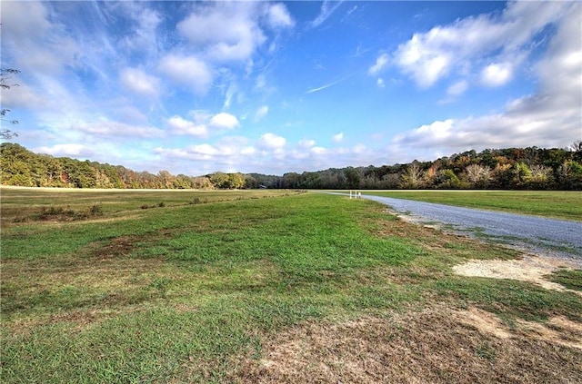 1195 Grady Rd, Rockmart, GA 30153 - view of road featuring a view of rural / pastoral area and a view of trees