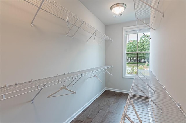 walk in closet with wood-type flooring