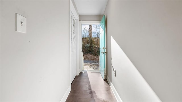 corridor with dark wood-type flooring