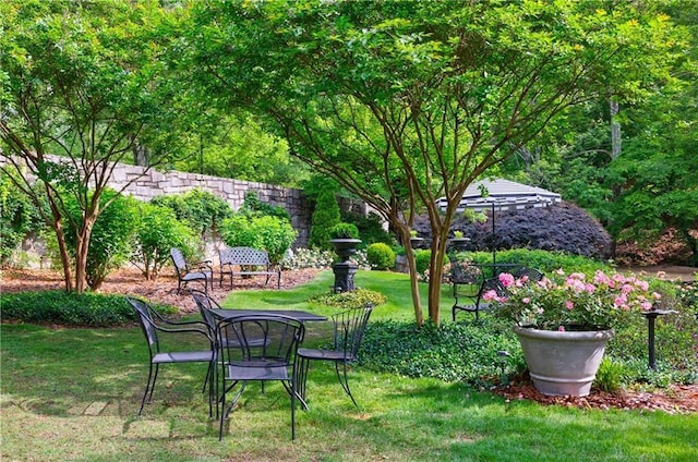 23307 Plantation Dr NE, Atlanta, GA 30324 - view of green lawn