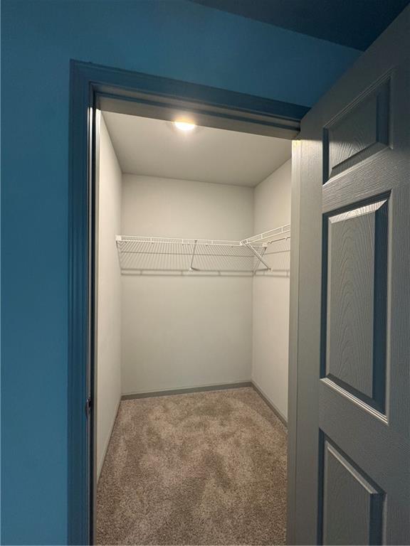 walk in closet with carpet floors