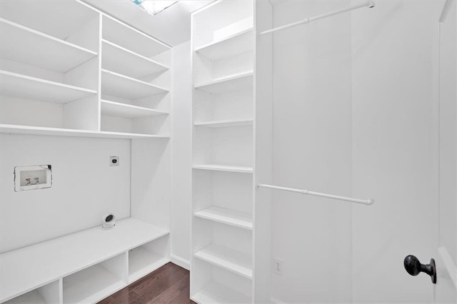 mudroom with dark wood-style flooring