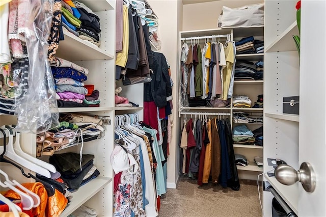 walk in closet featuring carpet floors