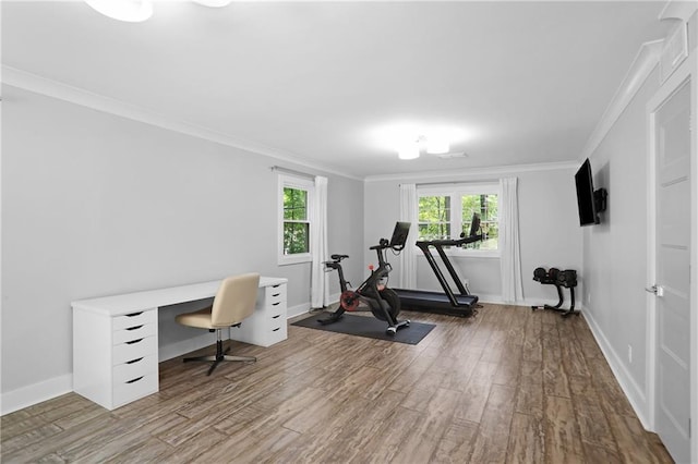 2445 Kings Point Dr, Dunwoody, GA 30338 - workout room with wood finished floors, crown molding, and baseboards