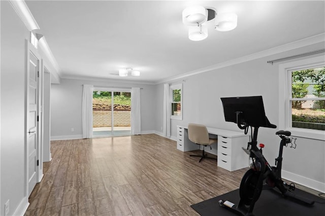 2445 Kings Point Dr, Dunwoody, GA 30338 - office space featuring crown molding, wood finished floors, and baseboards