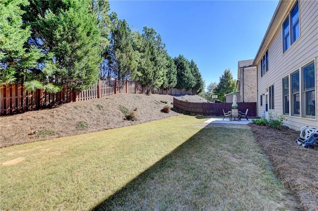 view of yard with a patio area