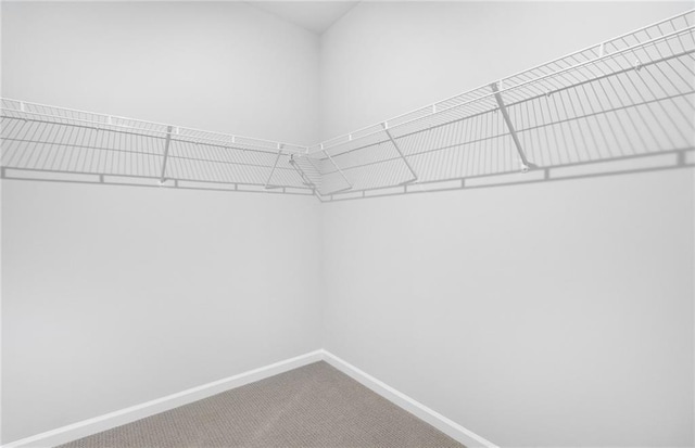 walk in closet with carpet