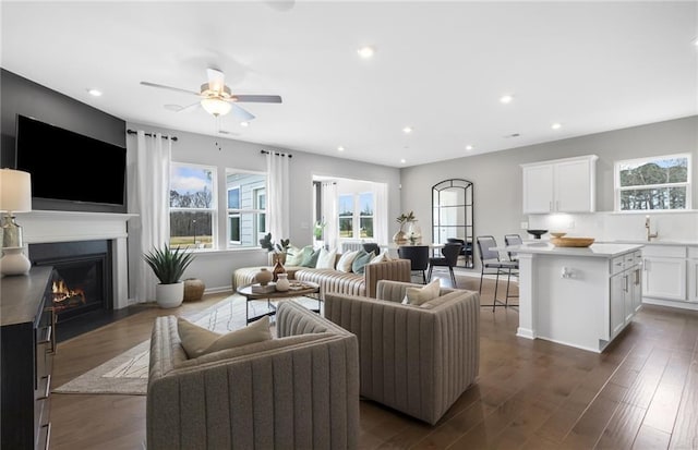 living room with ceiling fan, dark hardwood / wood-style flooring, and sink