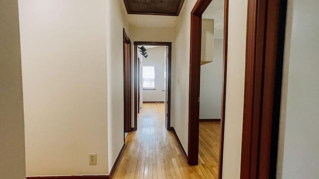 hallway featuring baseboards and light wood-type flooring