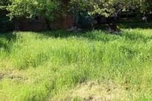 2628 Amberly Dr, Dunwoody, GA 30360