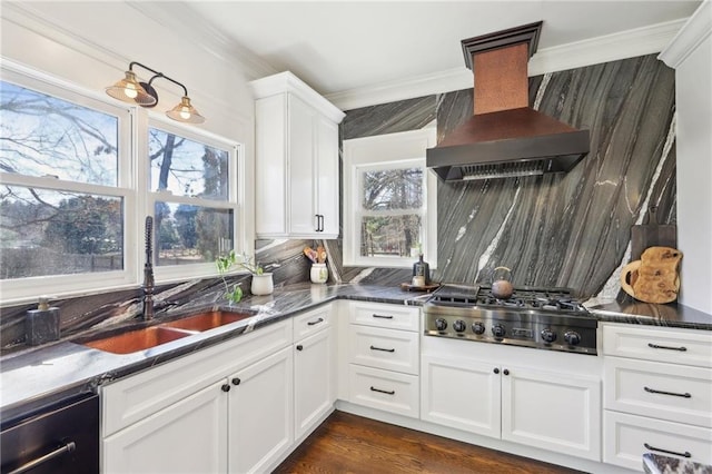 kitchen with sink, white cabinetry, tasteful backsplash, stainless steel gas stovetop, and exhaust hood