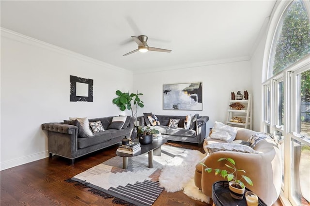 living room with crown molding, ceiling fan, and dark hardwood / wood-style flooring