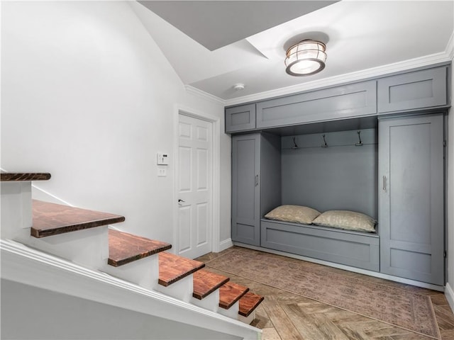 mudroom featuring ornamental molding and light parquet flooring