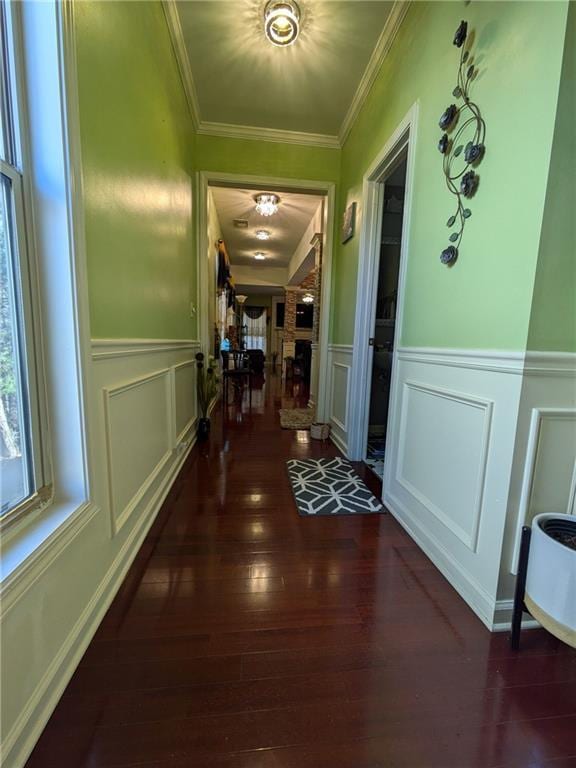 hallway with dark hardwood / wood-style flooring and crown molding