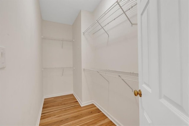 spacious closet featuring light wood-type flooring